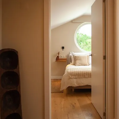 Affittacamere Rodrigues