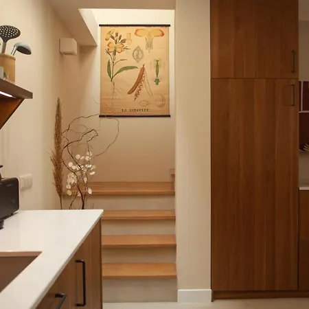 Rodrigues 게스트하우스