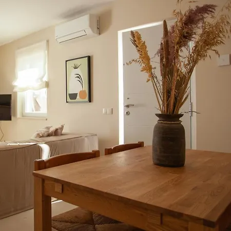 Rodrigues Guest house *